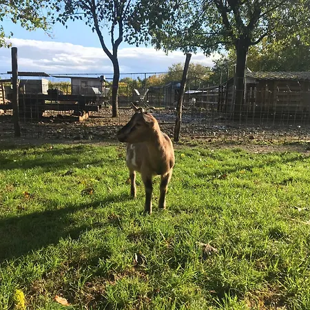 La Montina Alloggio per agriturismo