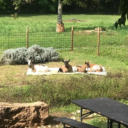 La Montina Alloggio per agriturismo *