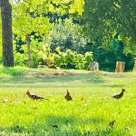 La Montina Alloggio per agriturismo *