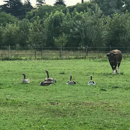 La Montina Alloggio per agriturismo