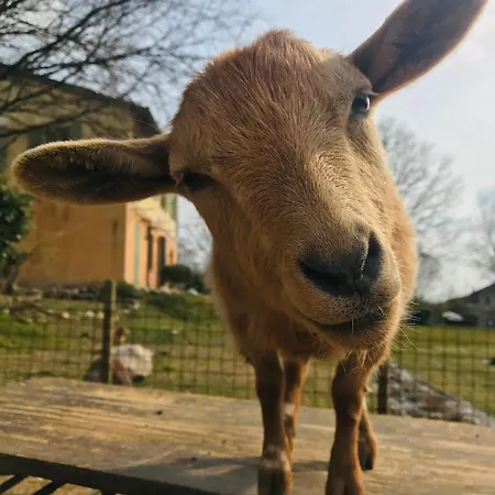 Alloggio per agriturismo La Montina *