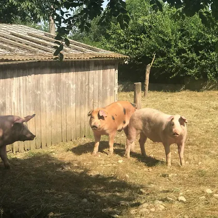 Alloggio per agriturismo La Montina Ponti sul Mincio