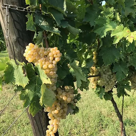 La Montina Alloggio per agriturismo