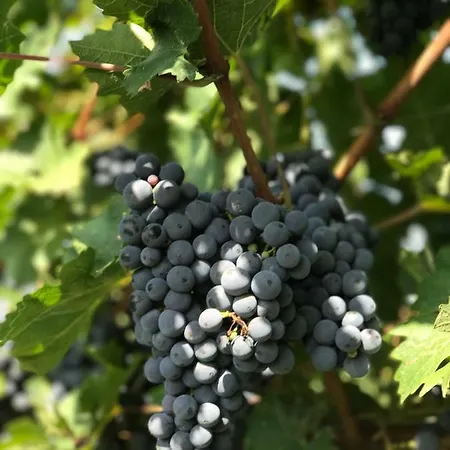 La Montina Alloggio per agriturismo *